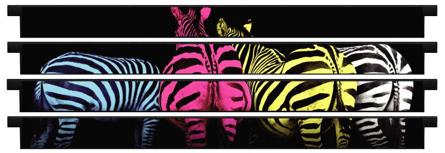 Palanques > Palanques droites x 4 > Colourful Zebras