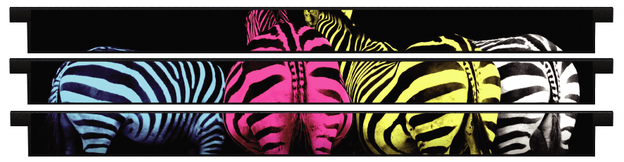 Palanques > Palanques droites x 3 > Colourful Zebras