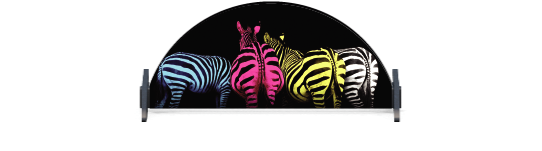 Soubassements > Soubassement Mini Demi-Lune > Colourful Zebras