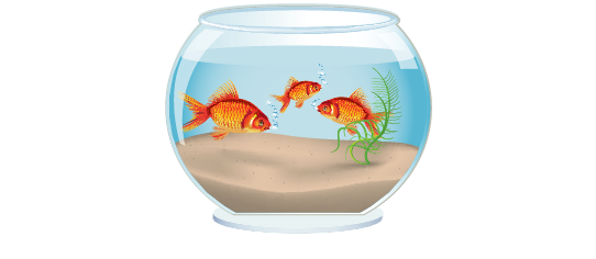 Soubassements > Soubassement aquarium > Goldfish